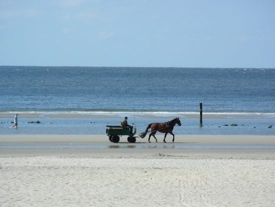 Paard en wagen op het strand